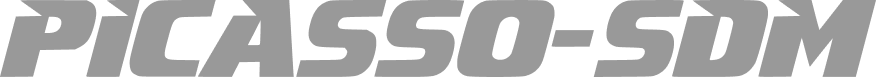 aes picassosdm logo